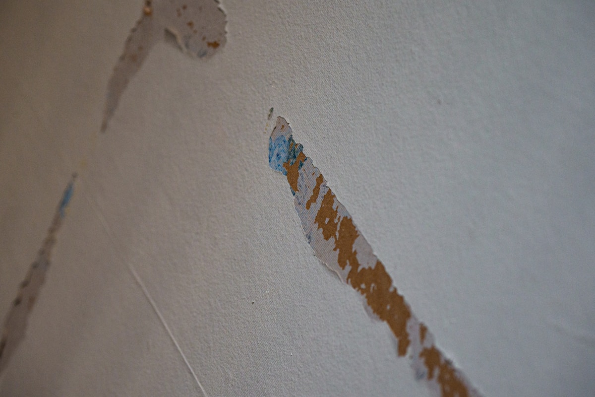 Commercial Water Damage service in Beaumont, TX